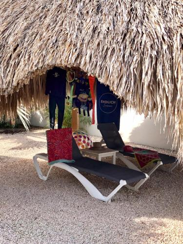 حديقة, Casa Amandus in Fontein حديقة, Casa Amandus in Fontein