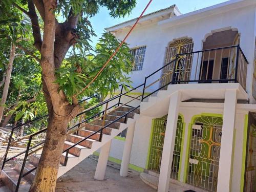 Mango tree Oasis in Treasure Beach Mango tree Oasis in Treasure Beach