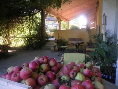 Balkon/terasa, Idyllic fermette near Marciac- 8 people entire property in Berdoues Balkon/terasa, Idyllic fermette near Marciac- 8 people entire property in Berdoues