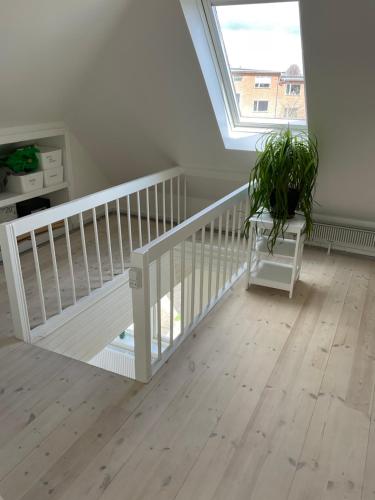 Stor lys lejlighed med terrasse og altan in هيلسينجور Stor lys lejlighed med terrasse og altan in هيلسينجور
