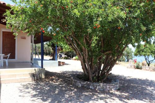 Balcony/terrace, Seaside 1 in Mirtia Balcony/terrace, Seaside 1 in Mirtia