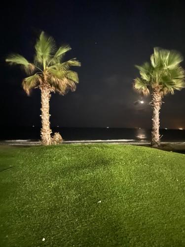 Porto Said chalet for rent بورتوسعيد in Port Said Porto Said chalet for rent بورتوسعيد in Port Said