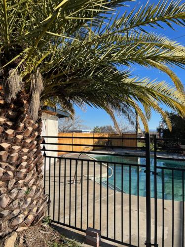مسبح, Triangle Motel in Red Bluff مسبح, Triangle Motel in Red Bluff