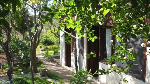 This photo about Ayvalik Dostlar Pansiyon shared on HyHotel.com