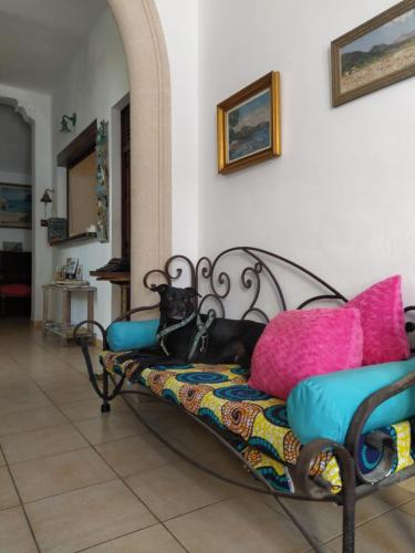 ล็อบบี้, Pension Bellavista in ปวยร์โต โปเยนซา / โปเยนซา ล็อบบี้, Pension Bellavista in ปวยร์โต โปเยนซา / โปเยนซา