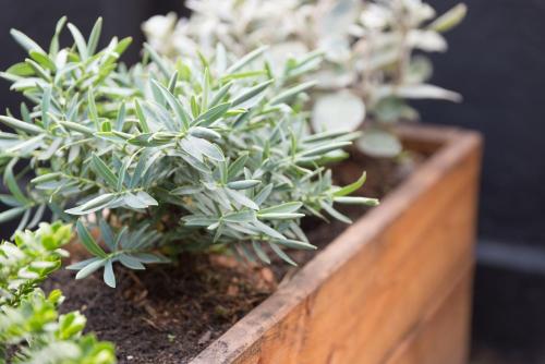 This photo about The Thief shared on HyHotel.com