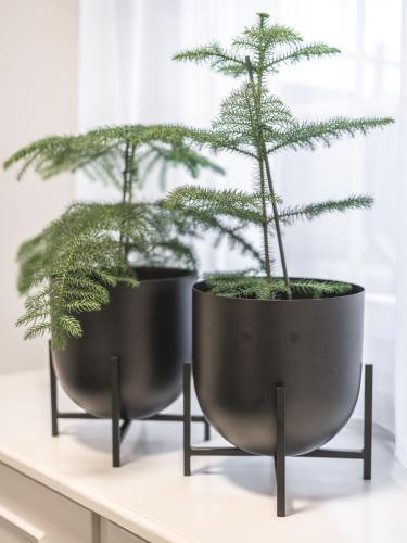 Entrada, Traube Restaurant & Hotel in Appenzell Entrada, Traube Restaurant & Hotel in Appenzell