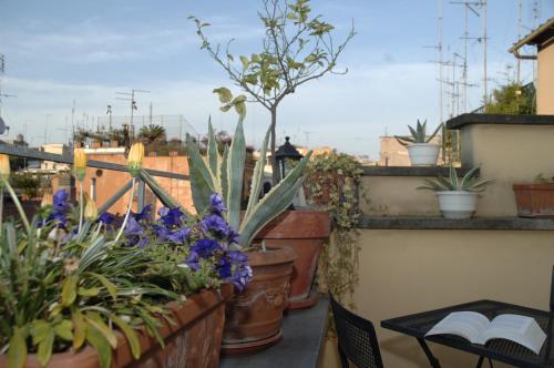 Balcony/terrace, Hotel Fellini in Trevi Balcony/terrace, Hotel Fellini in Trevi