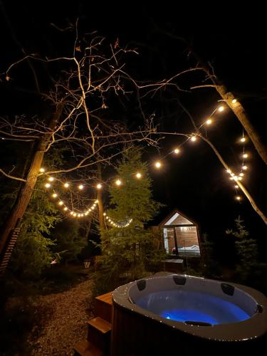 A környék, Odpoczynek Domki Pod Dębem z Opcją Jacuzzi (Odpoczynek Domki Pod Debem z Opcja Jacuzzi) in Przyjmo A környék, Odpoczynek Domki Pod Dębem z Opcją Jacuzzi (Odpoczynek Domki Pod Debem z Opcja Jacuzzi) in Przyjmo