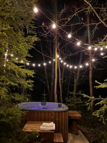 A környék, Odpoczynek Domki Pod Dębem z Opcją Jacuzzi (Odpoczynek Domki Pod Debem z Opcja Jacuzzi) in Przyjmo A környék, Odpoczynek Domki Pod Dębem z Opcją Jacuzzi (Odpoczynek Domki Pod Debem z Opcja Jacuzzi) in Przyjmo