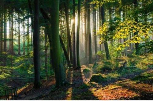 Auszeit im Grünen (Auszeit im Grunen) in 阿恩斯貝格 Auszeit im Grünen (Auszeit im Grunen) in 阿恩斯貝格