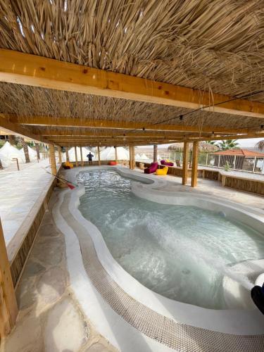 Surrounding environment, Glamping -420 in North Dead Sea Surrounding environment, Glamping -420 in North Dead Sea