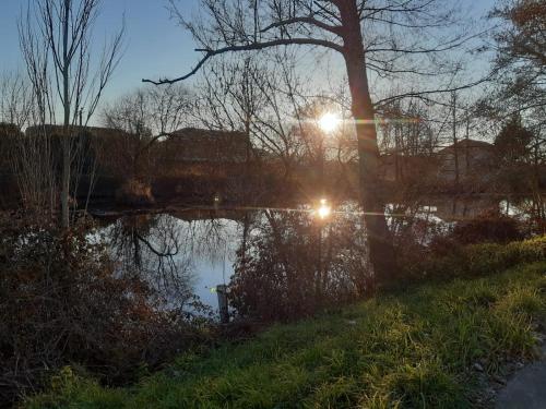 A környék, Ático Rosita en Camino de Santiago (Atico Rosita en Camino de Santiago) in Xinzo De Limia A környék, Ático Rosita en Camino de Santiago (Atico Rosita en Camino de Santiago) in Xinzo De Limia