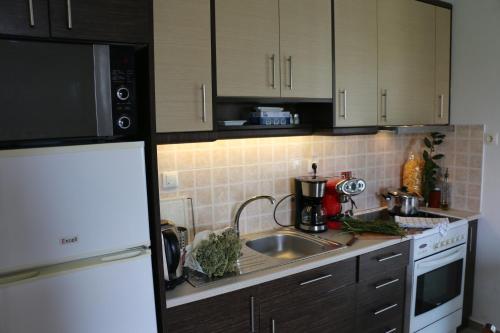 MiTerra Cozy Apartments in Andritsena MiTerra Cozy Apartments in Andritsena