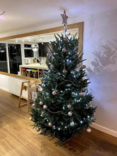 Hot Tub, Newly refurbished 4 bed, Dog friendly. in Babbacombe Hot Tub, Newly refurbished 4 bed, Dog friendly. in Babbacombe