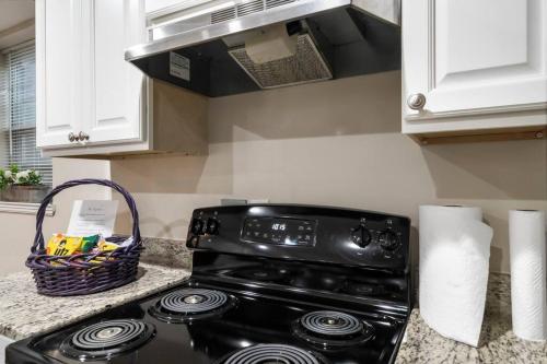 Modern 1-BR Apartment in Silver Spring (MD) Modern 1-BR Apartment in Silver Spring (MD)