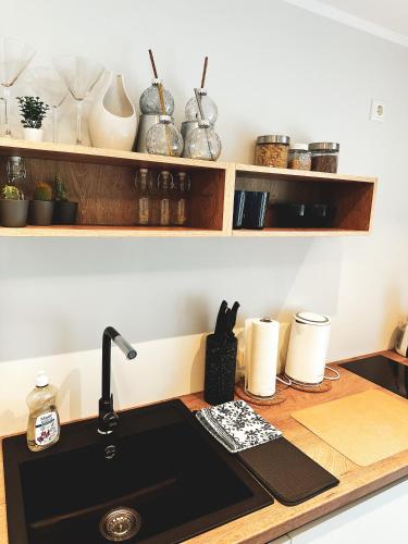 Seaside_albatross in 恩古雷 Seaside_albatross in 恩古雷