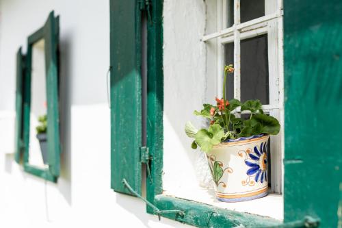 Kert, ❤Einzigartiges HOF-AREAL Sudsteiermark❤ in St. Nikolai Im Sausal Kert, ❤Einzigartiges HOF-AREAL Sudsteiermark❤ in St. Nikolai Im Sausal