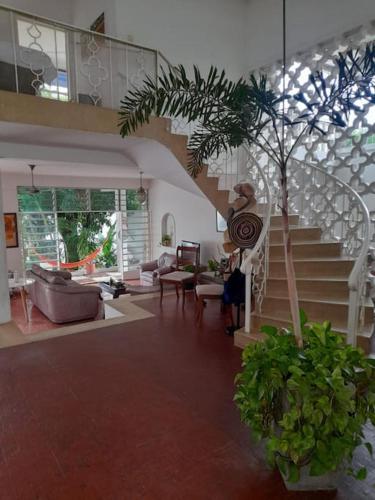 Disfruta del paraíso en nuestra casa con piscina (Disfruta del paraiso en nuestra casa con piscina) in 플란데스 Disfruta del paraíso en nuestra casa con piscina (Disfruta del paraiso en nuestra casa con piscina) in 플란데스