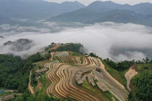 Hoang Su Phi Binh Minh in Nam Pi Hoang Su Phi Binh Minh in Nam Pi