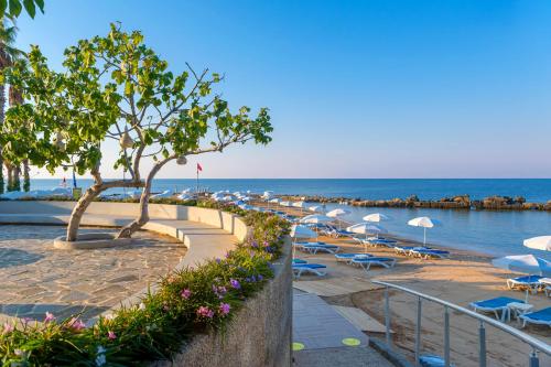 пляж, Numa Bay Exclusive Hotel - Ultra All Inclusive in Avsallar пляж, Numa Bay Exclusive Hotel - Ultra All Inclusive in Avsallar