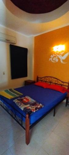 E - 2 bed room flat in makadi heights