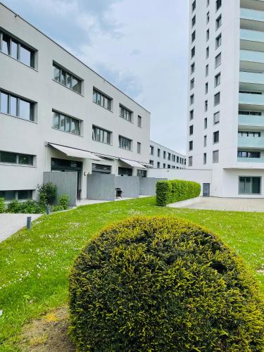สวน, Hotel Swiss Bellevue in ครอยส์ลิงเงน สวน, Hotel Swiss Bellevue in ครอยส์ลิงเงน
