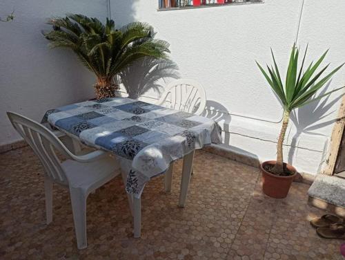 La crique in Aïn Benian La crique in Aïn Benian