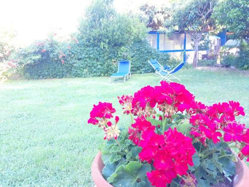 Garden, One bedroom house with sea view enclosed garden and wifi at Canosa Sannita in Canosa Sannita Garden, One bedroom house with sea view enclosed garden and wifi at Canosa Sannita in Canosa Sannita