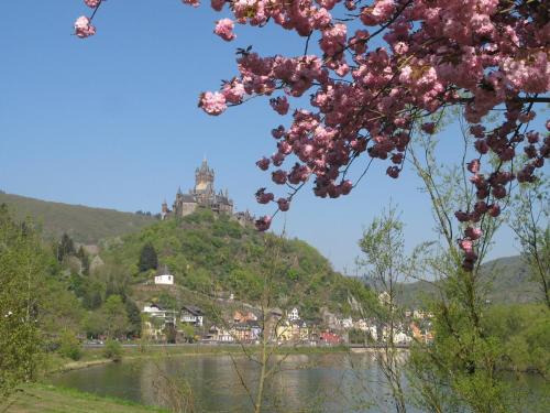 This photo about Haus Mosel-Oase shared on HyHotel.com