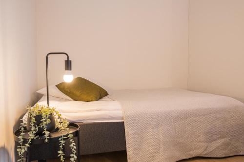 Snowflake suites V in Rovaniemi Snowflake suites V in Rovaniemi