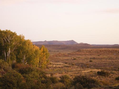Umgebung, Anra Rusgenot in Richmond (Northern Cape) Umgebung, Anra Rusgenot in Richmond (Northern Cape)