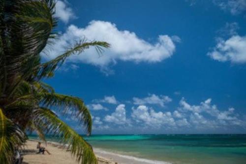 Casa Paraíso - Little Corn Island (Casa Paraiso - Little Corn Island) in Little Corn Island Casa Paraíso - Little Corn Island (Casa Paraiso - Little Corn Island) in Little Corn Island