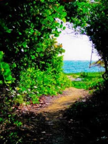 Casa Paraíso - Little Corn Island (Casa Paraiso - Little Corn Island) in 小马伊斯群岛 Casa Paraíso - Little Corn Island (Casa Paraiso - Little Corn Island) in 小马伊斯群岛