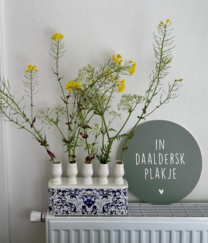 Létesítmények, Daalders Plakkie in Harich Létesítmények, Daalders Plakkie in Harich