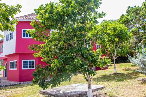 The Hamilton's Nature Villa in Saint Ann's Bay The Hamilton's Nature Villa in Saint Ann's Bay