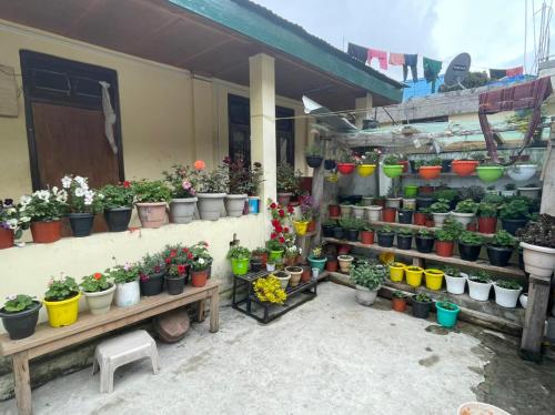 DREMA HOMESTAY in Tawang DREMA HOMESTAY in Tawang