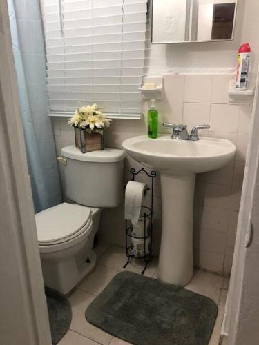 Star's Apartment in Hialeah (FL) Star's Apartment in Hialeah (FL)