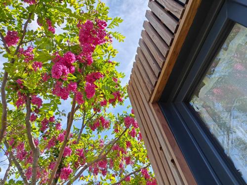 حديقة, La Cabane de Lili Prune in Goudargues حديقة, La Cabane de Lili Prune in Goudargues