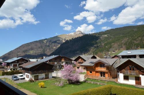 View, Hotel Les Bruyeres in Morzine View, Hotel Les Bruyeres in Morzine