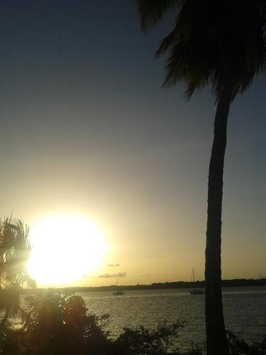 A környék, Hotel Amazonia du Fleuve*** in Saint-Laurent-du-Maroni A környék, Hotel Amazonia du Fleuve*** in Saint-Laurent-du-Maroni