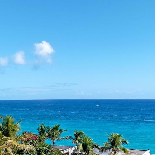 View, Sapphire Beach Club Resort in Lowlands View, Sapphire Beach Club Resort in Lowlands