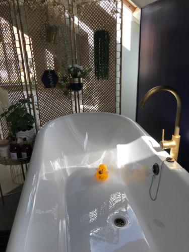 المرافق, Willow Barn luxury countryside accommodation in Bury St Edmunds in Ixworth المرافق, Willow Barn luxury countryside accommodation in Bury St Edmunds in Ixworth