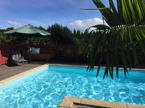 Swimming pool, Relax A Lodge in Kerikeri Swimming pool, Relax A Lodge in Kerikeri