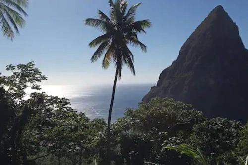 TheTerrace -$1Mil Piton View in ジャロウスル TheTerrace -$1Mil Piton View in ジャロウスル