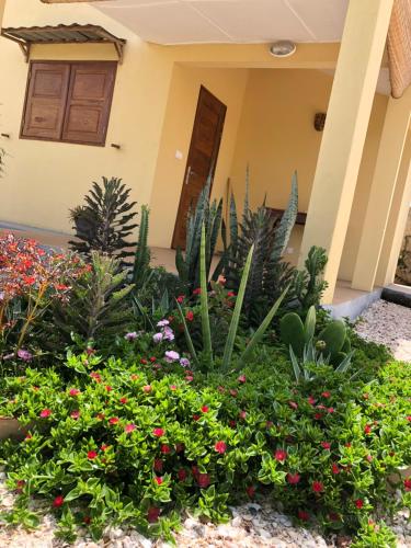 Villa Nemocotier in קאפ סקירינג Villa Nemocotier in קאפ סקירינג