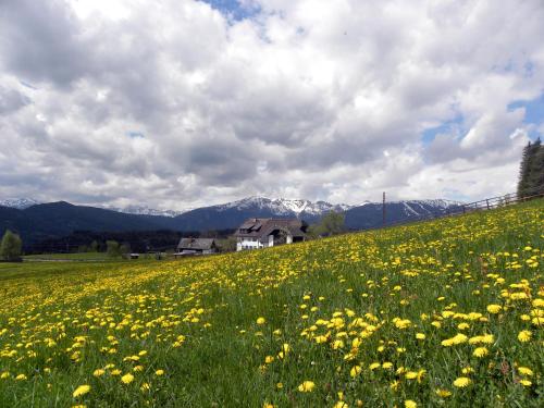 Alrededores, Polzhof in St. Andra Im Lungau Alrededores, Polzhof in St. Andra Im Lungau