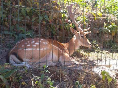 Casa Morgado in โมยเมนตา Casa Morgado in โมยเมนตา