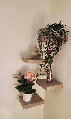 מתקני המלון, LG DownTown Sabadell Apartment in סבדל מתקני המלון, LG DownTown Sabadell Apartment in סבדל