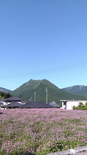 農園民宿 春名 Farmstay Haruna in Hyogo 農園民宿 春名 Farmstay Haruna in Hyogo